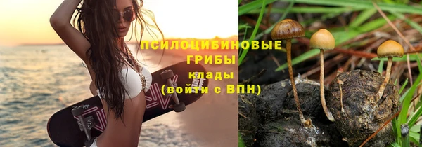 экстази Арсеньев