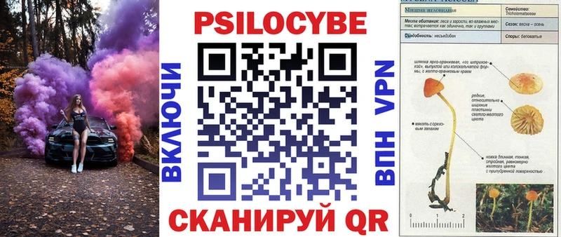 Галлюциногенные грибы мицелий  Полесск 